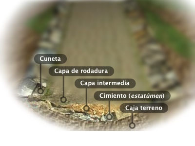 Corte transversal.